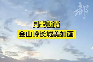 半岛电子竞技官网网址截图4